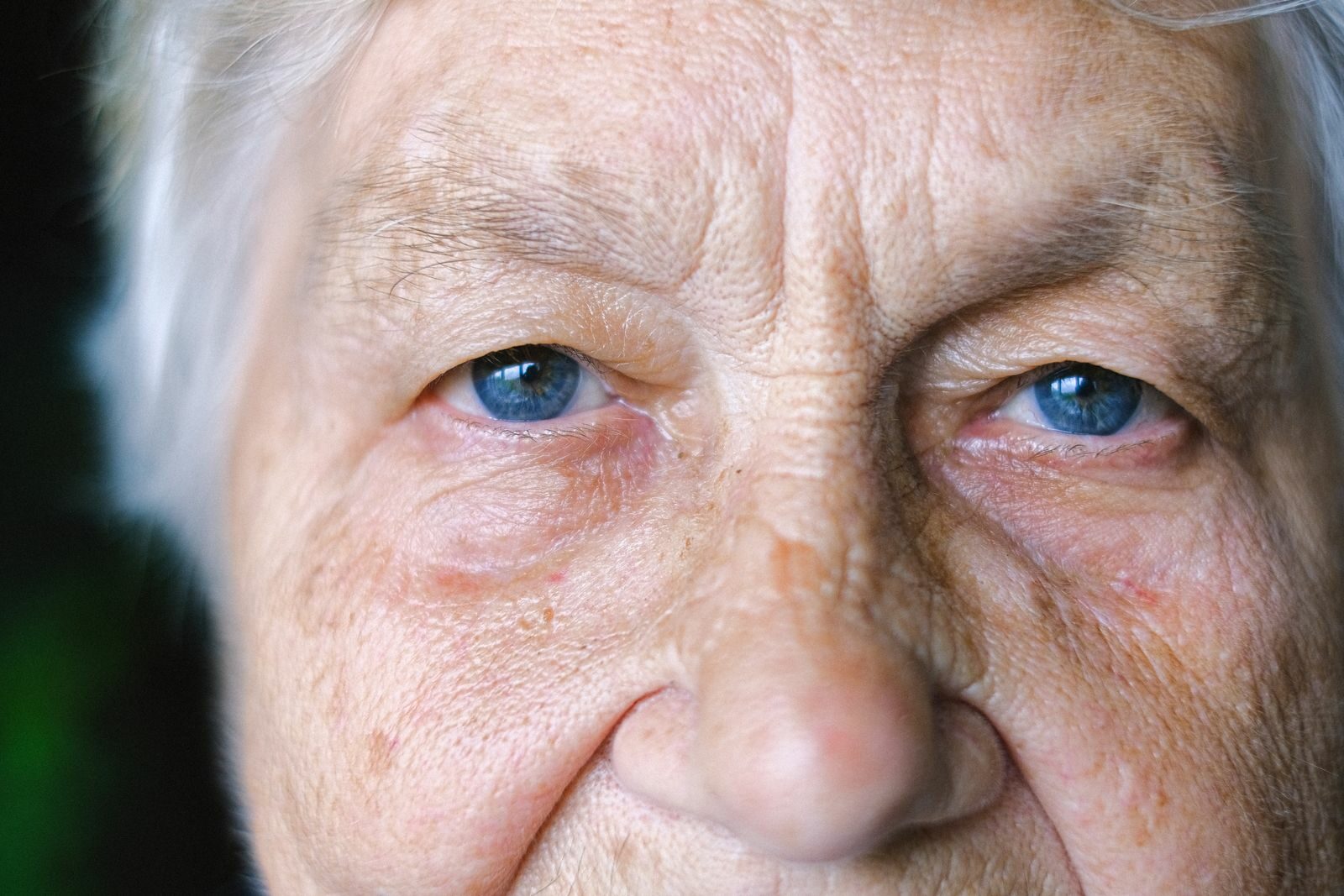 Sincere look of aged female with gray hair with wrinkles on face looking at camera on blurred blurred in room