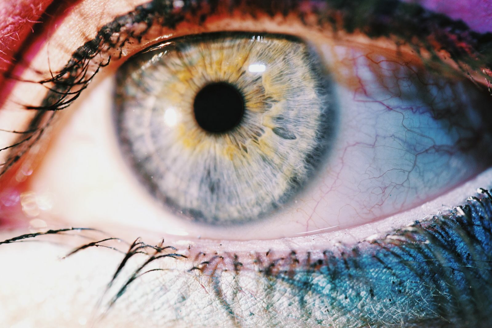 Close-up macro photography of a human eye showcasing intricate details and vibrant colors.