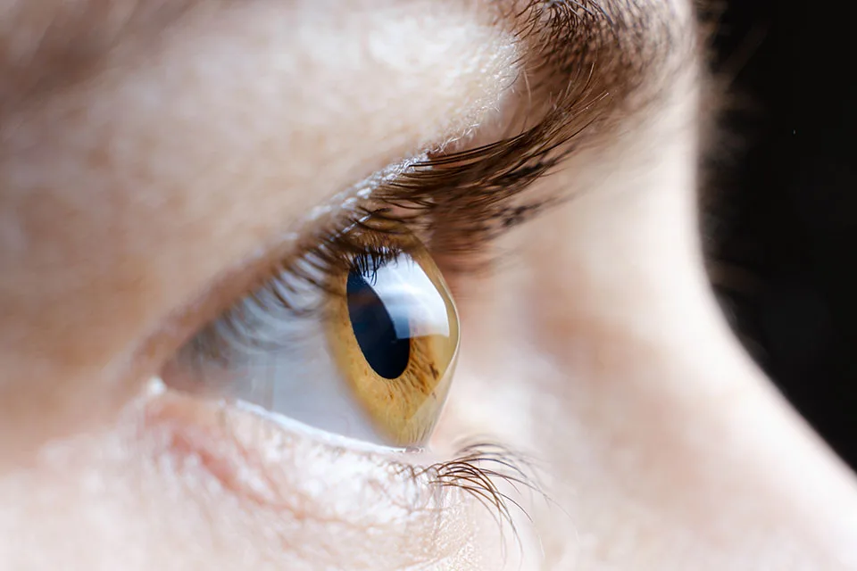 Detailed close-up of a vibrant human iris showcasing unique patterns and colors.